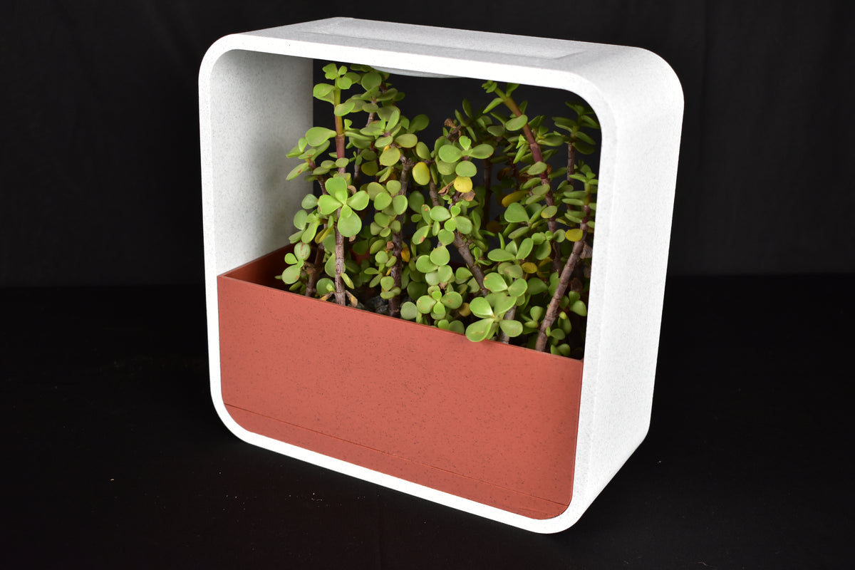 Minimalist Indoor Plant Holder