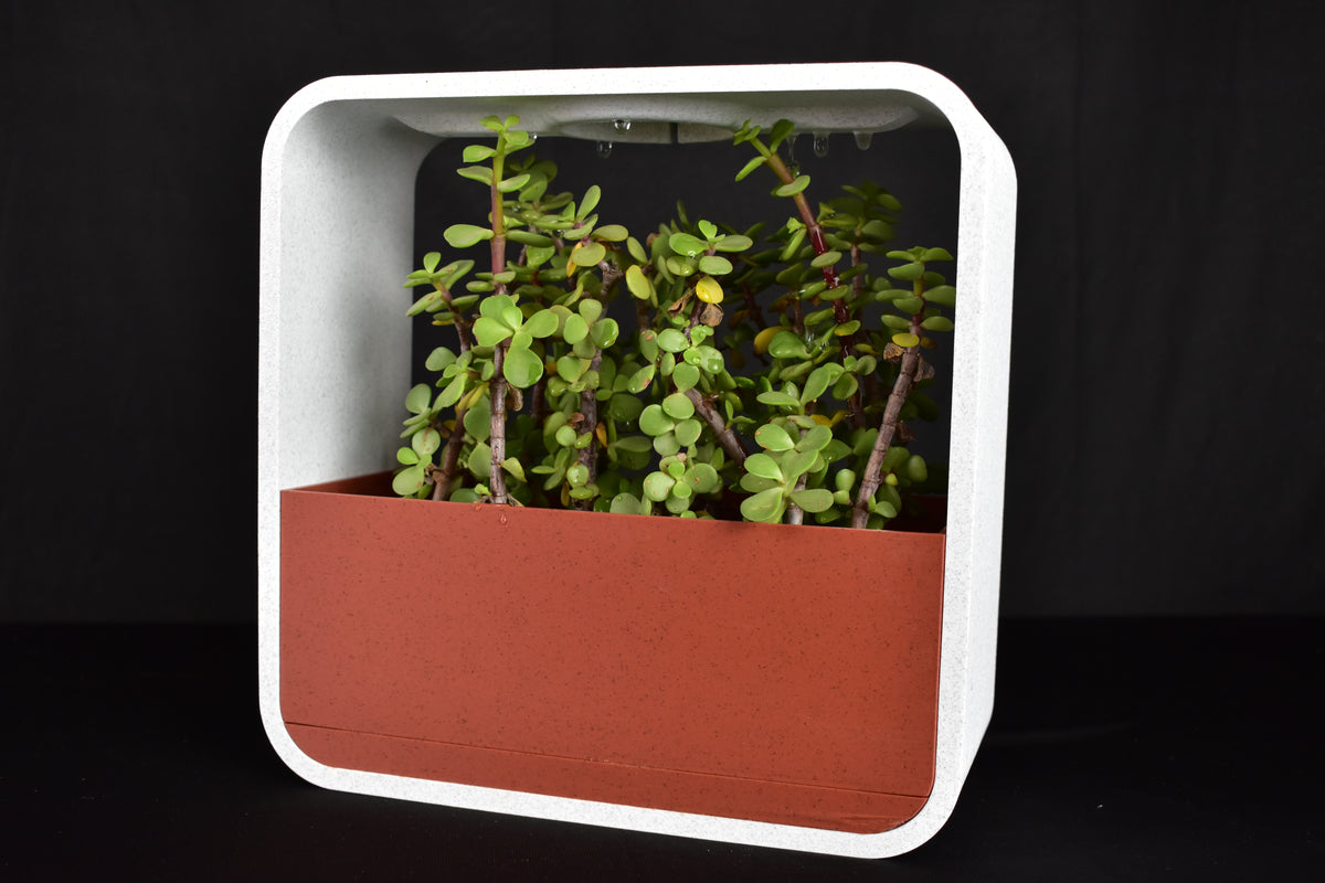 Minimalist Indoor Plant Holder