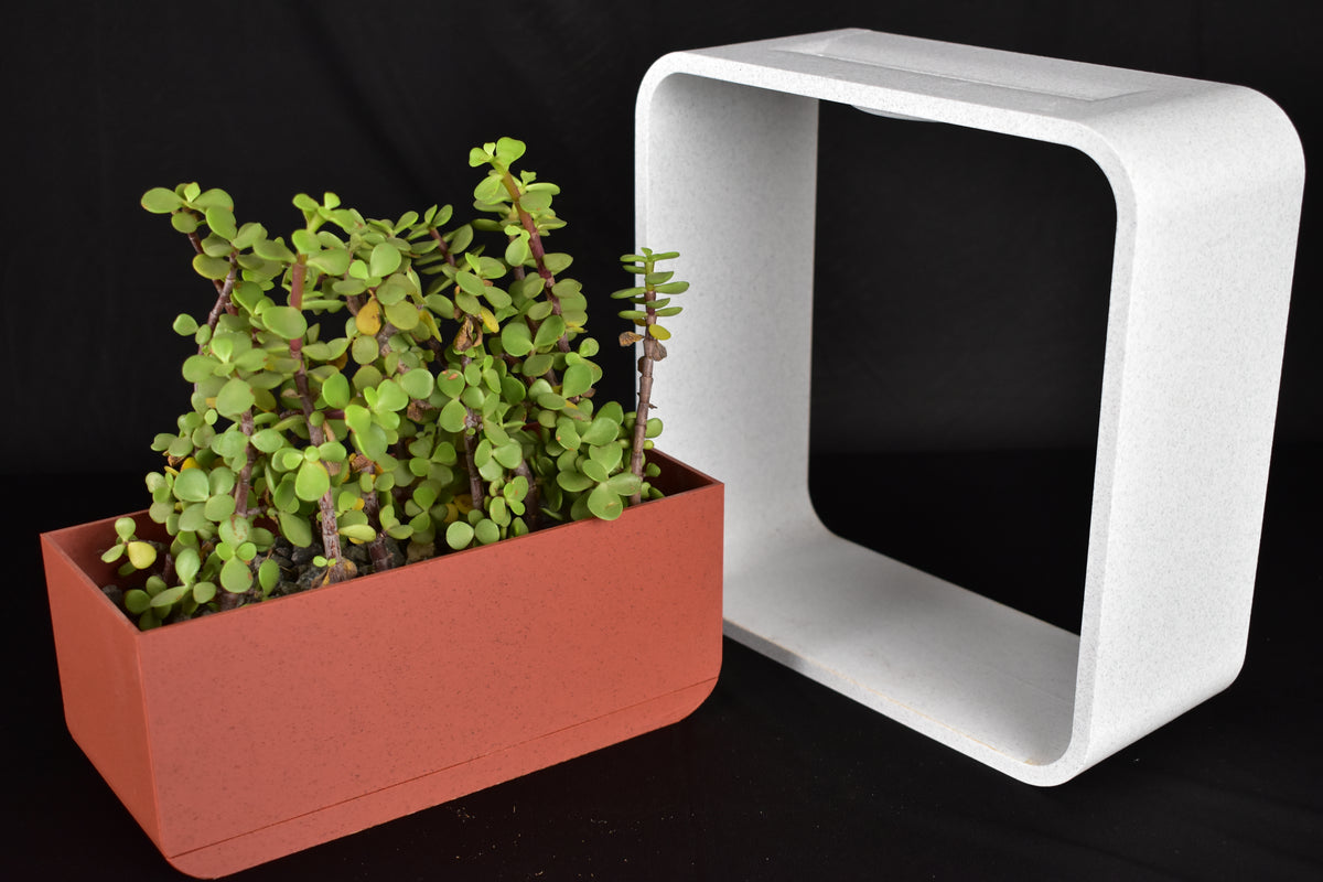 Minimalist Indoor Plant Holder