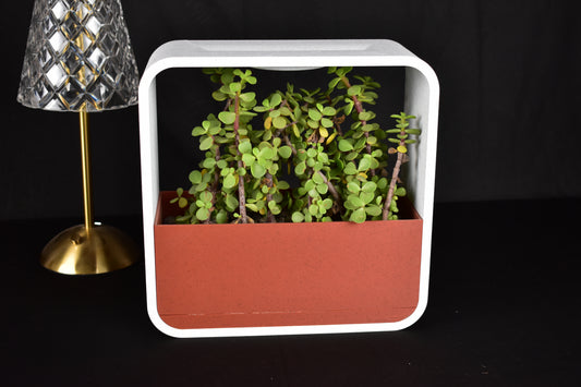 Minimalist Indoor Plant Holder