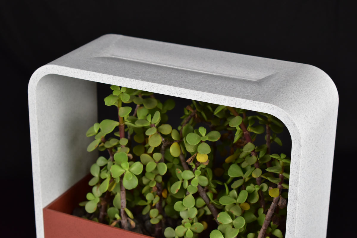 Minimalist Indoor Plant Holder