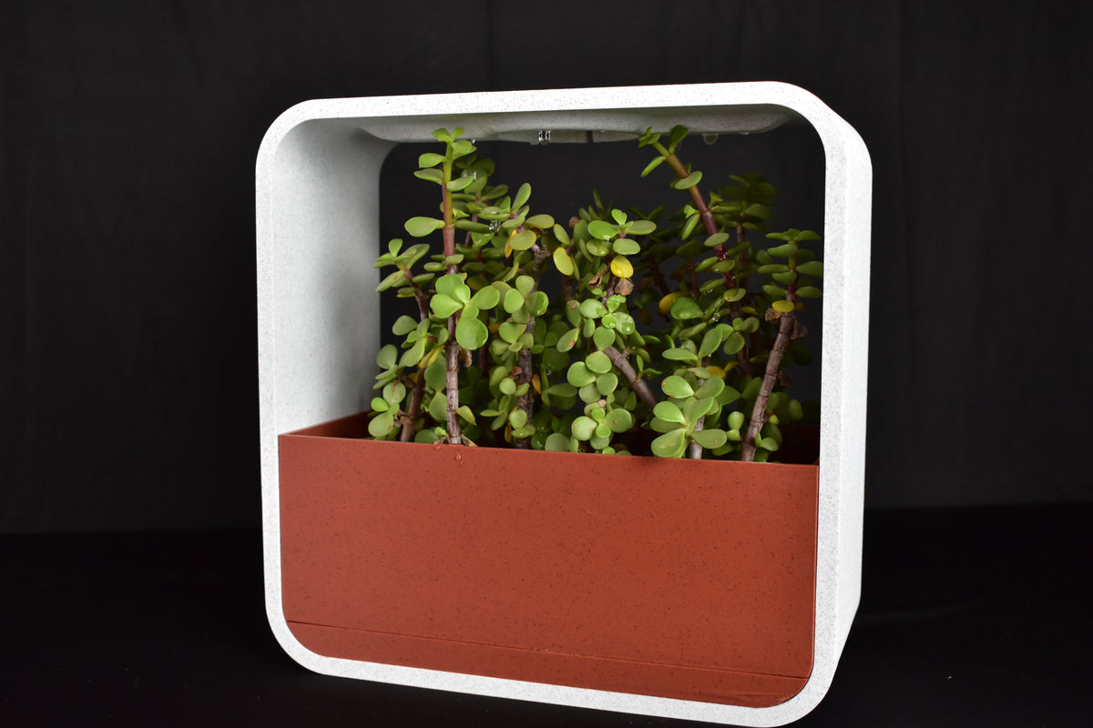 Minimalist Indoor Plant Holder