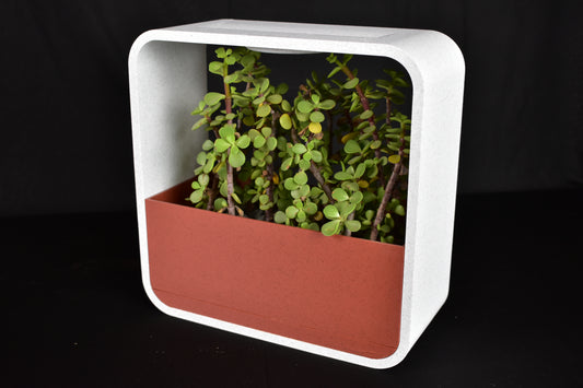 Minimalist Indoor Plant Holder